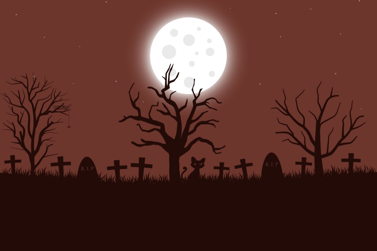 不動産投資 収益計算 デッドクロス